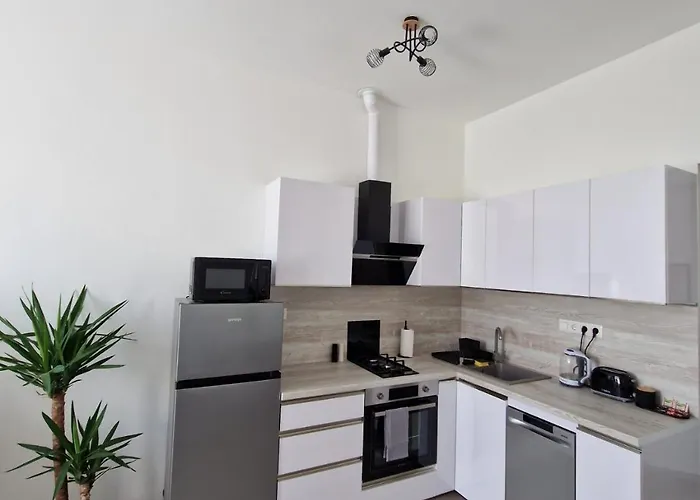 Milla's Dream 塞格德