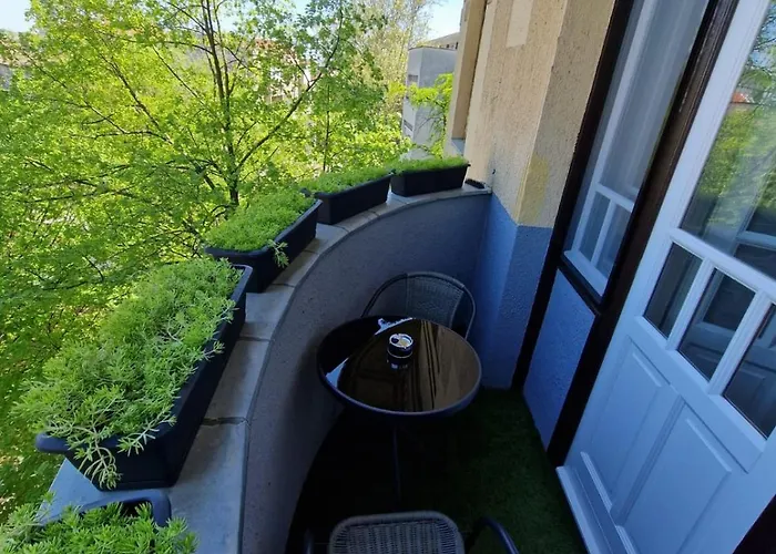 Milla's Dream * 塞格德